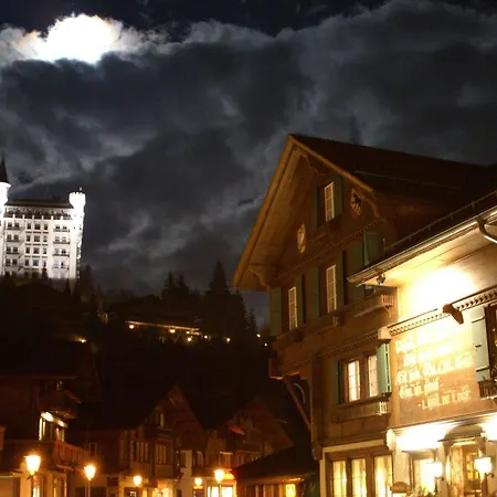 Olden Hotel 4*