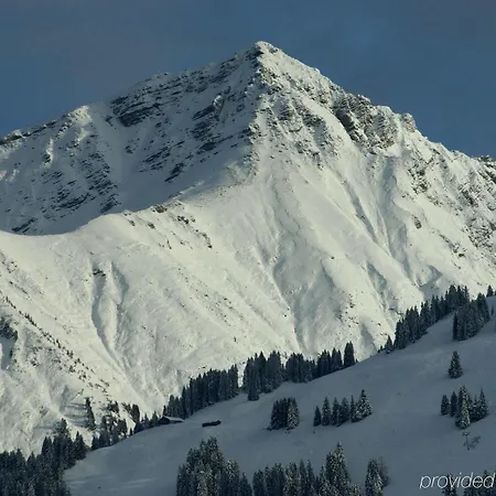Olden 4* Gstaad
